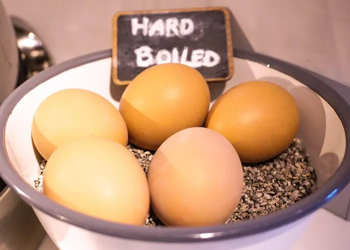 Catalonia Vondel Amsterdam